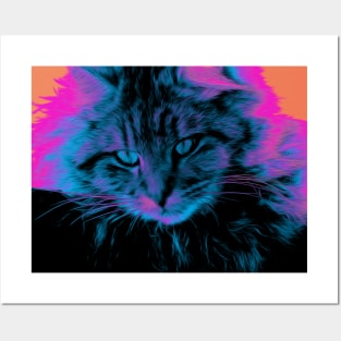 Curious Cat - Maine Coon Cat Posters and Art